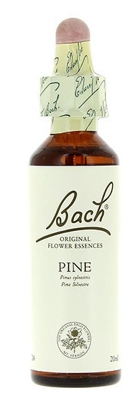 Flores de Bach 24 Pine 20 ml